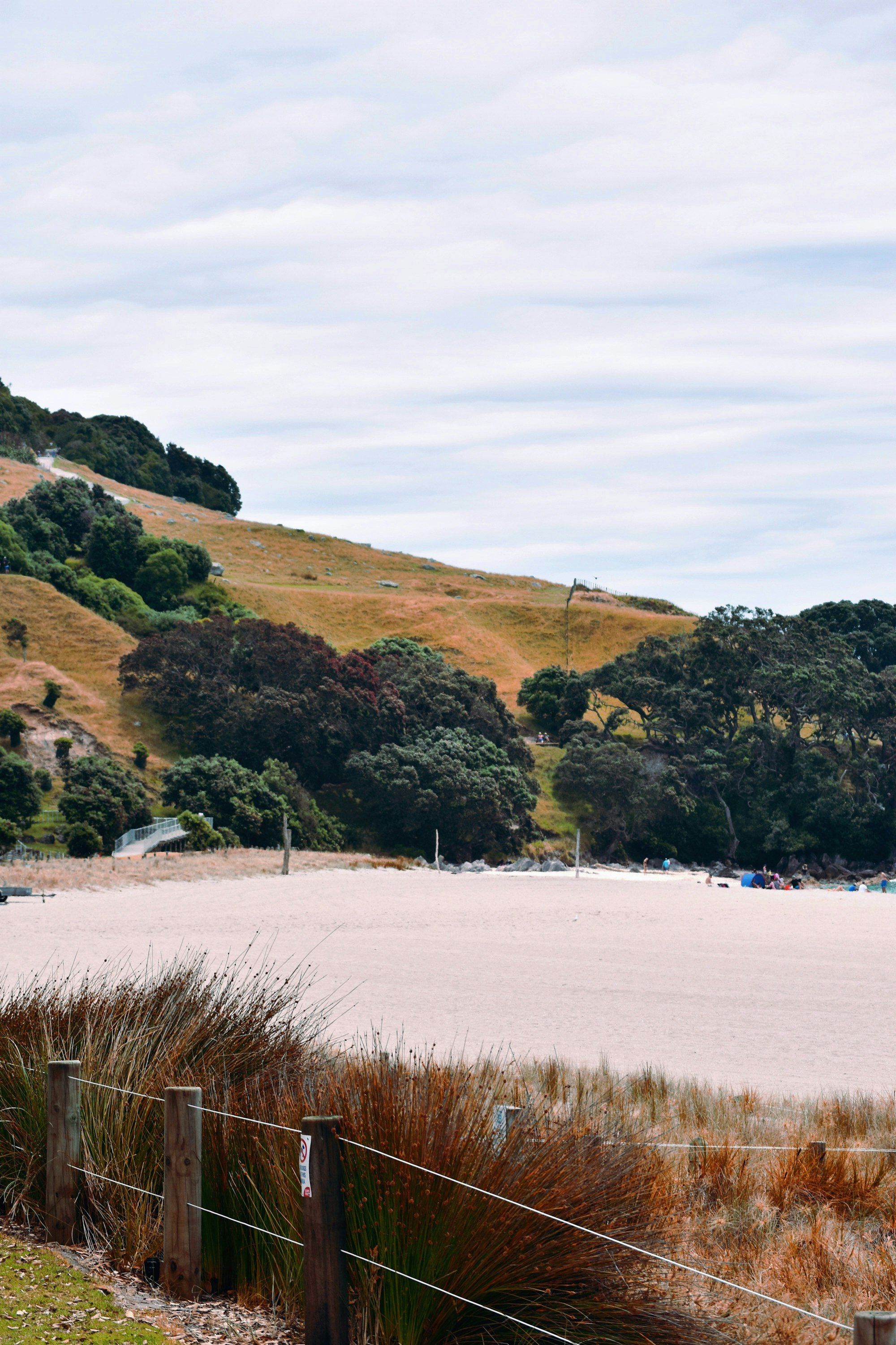 Green hills running down to calm water on the New Zealand coast