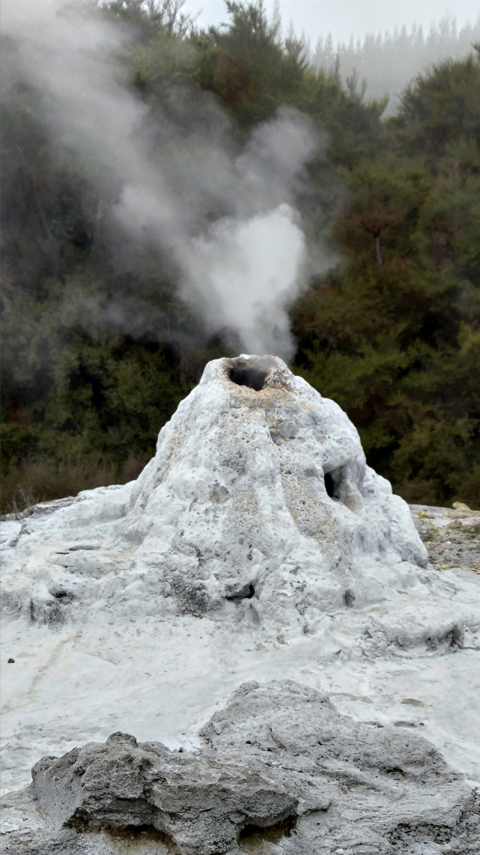 Steam rising from a geothermal mound in the Rotorua area